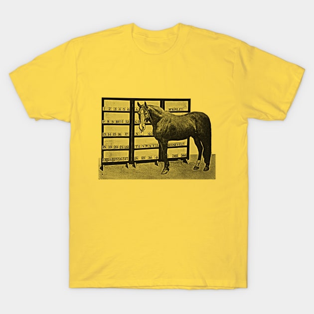 Beautiful Jim Key / Performing Horse T-Shirt by CultOfRomance